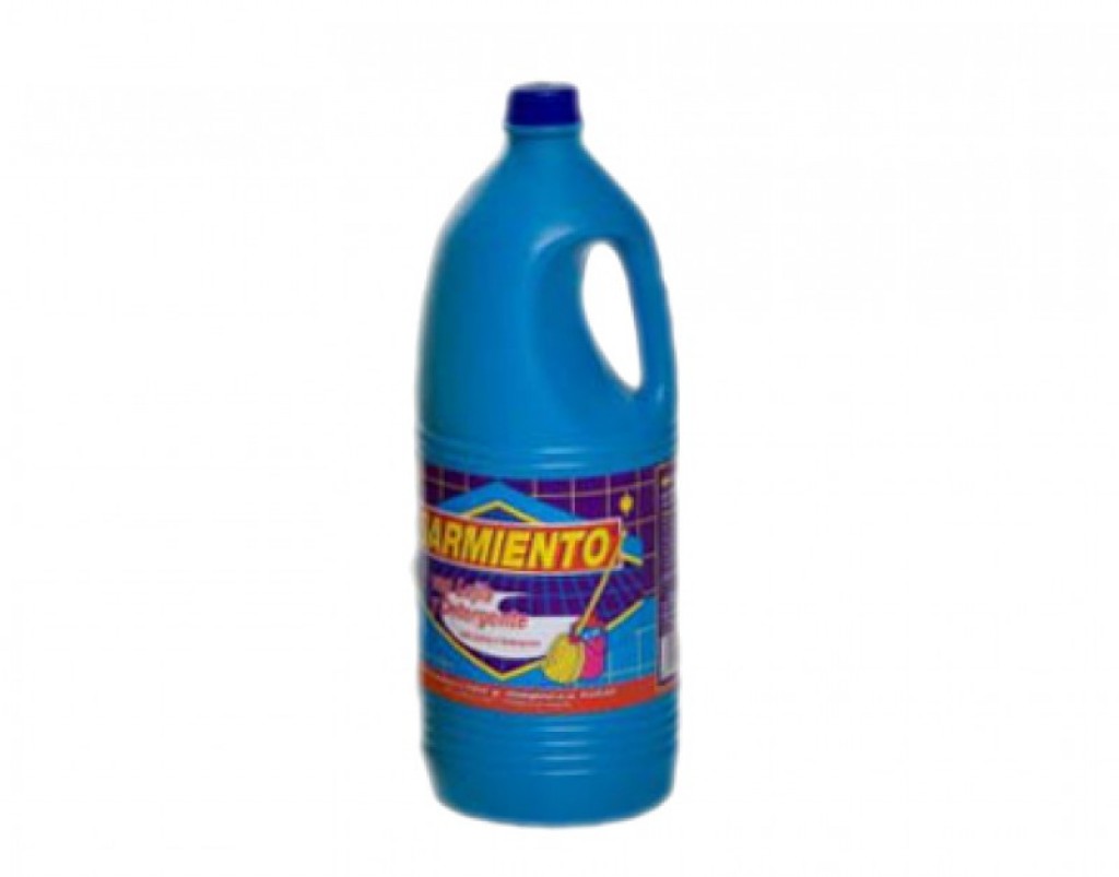 LEJIA CON DETERGENTE (10 BOTELLAS)